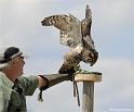 web2_DSC0814