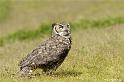 web2_DSC0836