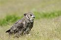 web2_DSC0840