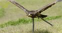 web2_DSC0881