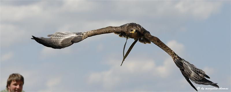 web2_DSC0904.jpg