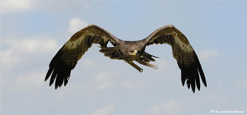 web2_DSC0906.jpg