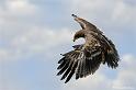 web2_DSC0898