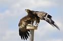 web2_DSC0900