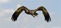 web2_DSC0906