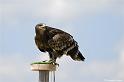 web2_DSC0920