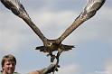 web2_DSC0925