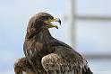 web2_DSC0939