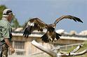 web2_DSC0947