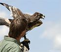 web2_DSC0956