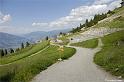 web2_DSC0969