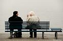 web2_DSC6909