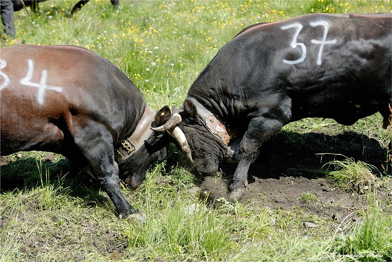 web2_DSC0529.jpg