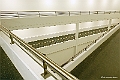 web2_DSC2358