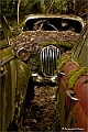 web3_DSC6261