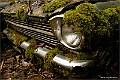 web3_DSC6267