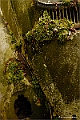 web3_DSC6275
