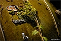 web3_DSC6587