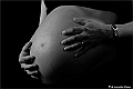 websw2_DSC6503