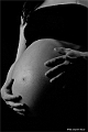 websw2_DSC6507