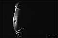 websw2_DSC7467