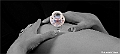 websw5_DSC3276