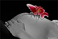 websw6_DSC3170