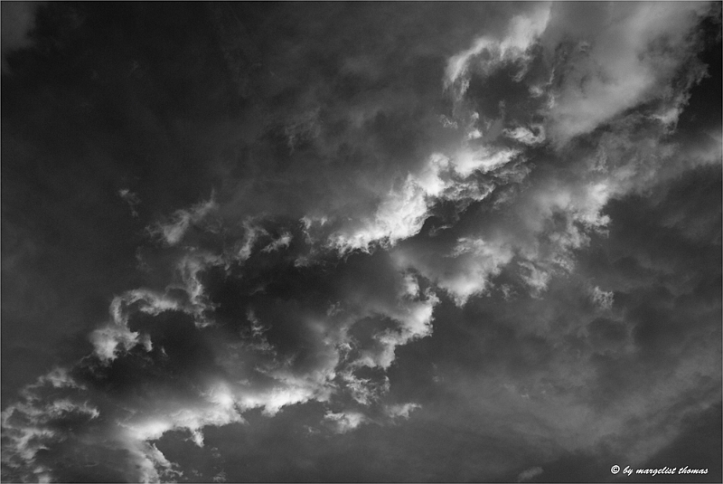 websw2_DSC9786.jpg